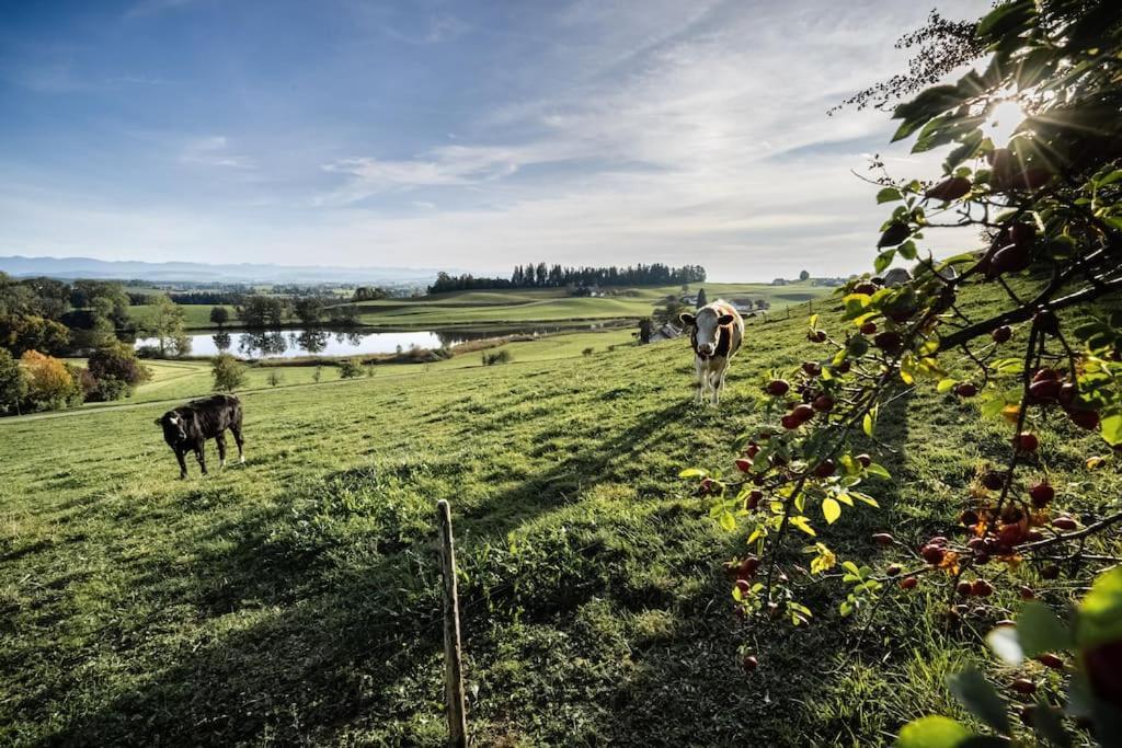 Appartement Mondholzliebe Eg Argenbuhl Bagian luar foto